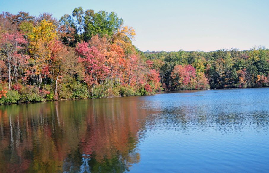 French Creek State Park, Pennsylvania, USA